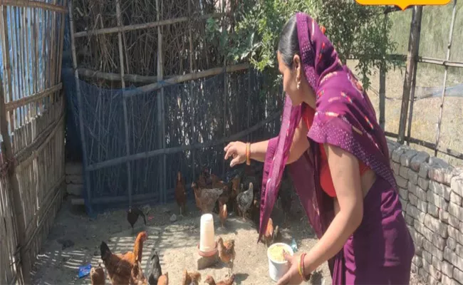 Chicken Farming Started at a Cost of 450 Earning More than 2 Thousand Per Day - Sakshi