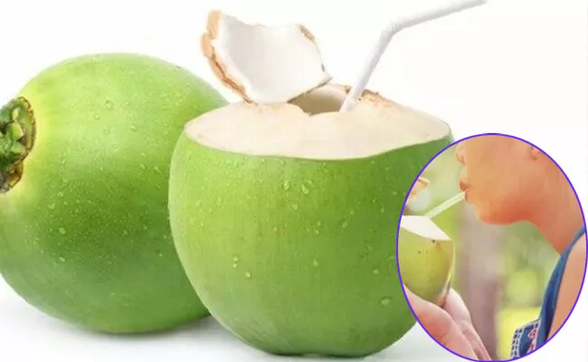 Health and Nutrition Benefits of Coconut Water - Sakshi
