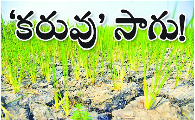 Crops Drying Due To Lack Of Irrigation Water: telangana - Sakshi