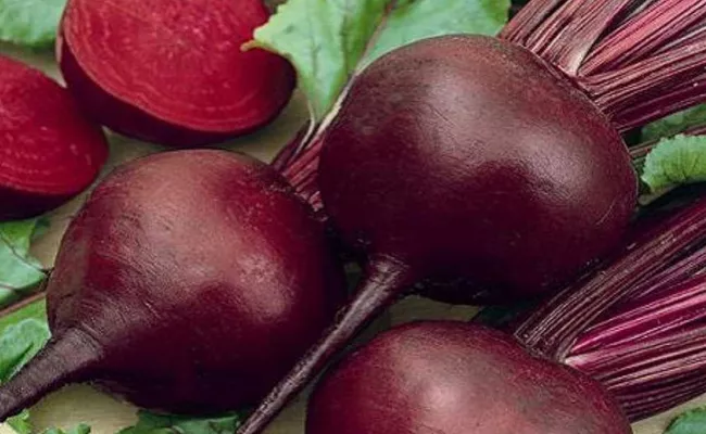 Beetroot Really Vegetable Viagra check What Science Says - Sakshi