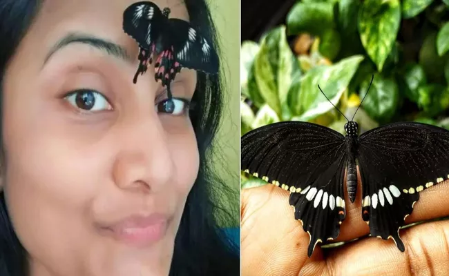 Butterfly mom Priyanka Singh: Butterflies are pet of Priyanka singh - Sakshi