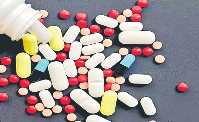 Domestic drug firms to witness 8-10percent revenue growth in FY25 - Sakshi