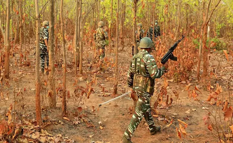 12 Naxalites killed in Chhattisgarh in 3rd major encounter