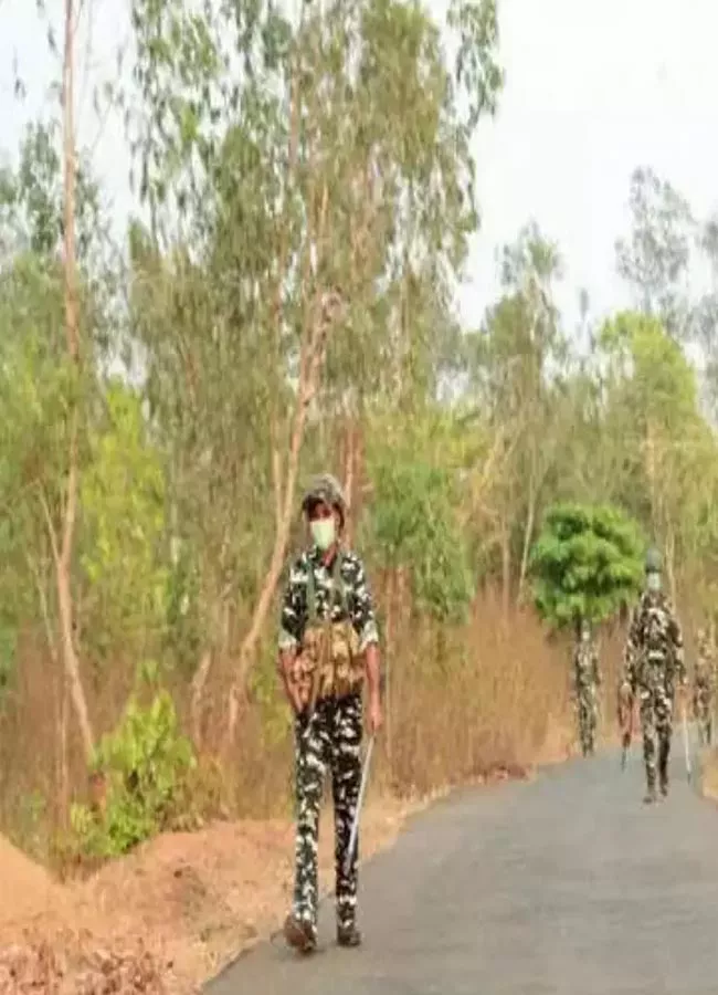 7 Maoists Killed In Encounter In Chhattisgarh Many Weapons Recovered