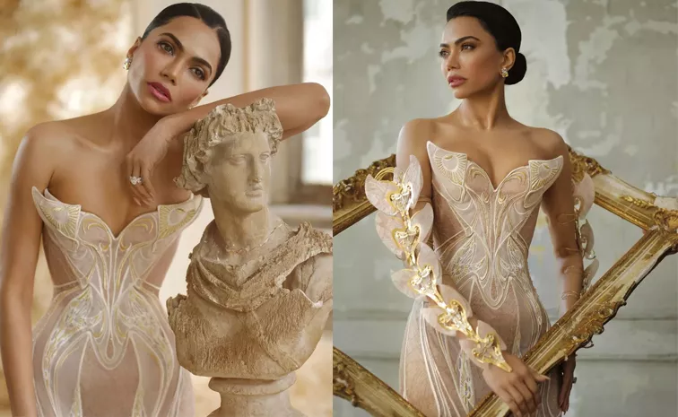 Indian Sensation Mona Patel Turning Heads With Her Moving Wings At The Met Gala 2024 Photos